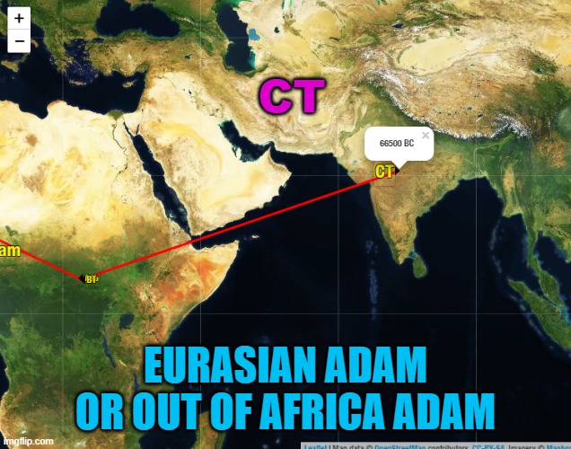 Eurasian Adam or Out of Africa Adam | CT; EURASIAN ADAM OR OUT OF AFRICA ADAM | image tagged in out of africa adam | made w/ Imgflip meme maker