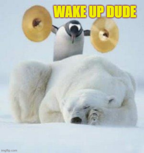 Wake Up | WAKE UP DUDE | image tagged in wake up | made w/ Imgflip meme maker