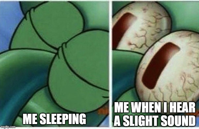 Squidward | ME SLEEPING; ME WHEN I HEAR A SLIGHT SOUND | image tagged in squidward | made w/ Imgflip meme maker