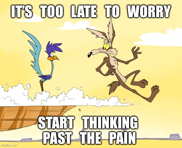 roadrunner & wild e coyote | IT’S   TOO   LATE   TO   WORRY; START   THINKING 
PAST   THE   PAIN | image tagged in roadrunner wild e coyote | made w/ Imgflip meme maker