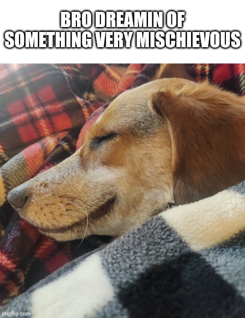 BRO DREAMIN OF SOMETHING VERY MISCHIEVOUS | made w/ Imgflip meme maker