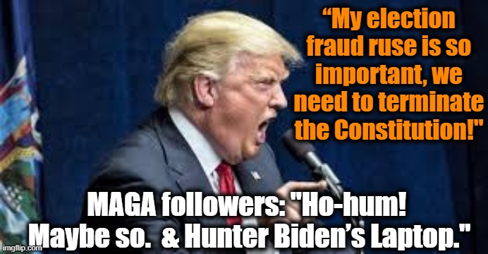 Terminate the Constitution! | “My election fraud ruse is so important, we need to terminate the Constitution!"; MAGA followers: "Ho-hum!  Maybe so.  & Hunter Biden’s Laptop." | image tagged in the constitution,maga,trump to gop,gop hypocrite,trump,donald trump approves | made w/ Imgflip meme maker