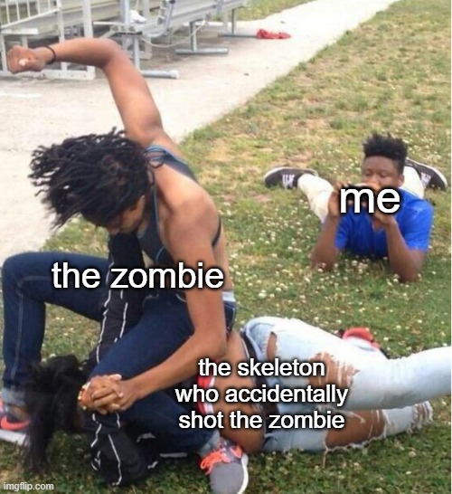 the skeleton would be beating up the zombie if i was being logical | me; the zombie; the skeleton who accidentally shot the zombie | image tagged in guy recording a fight | made w/ Imgflip meme maker