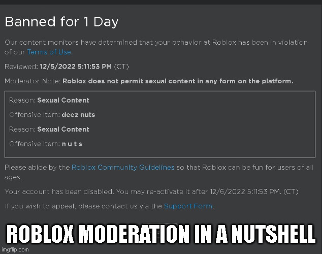 roblox moderation | ROBLOX MODERATION IN A NUTSHELL | image tagged in roblox,moderation | made w/ Imgflip meme maker