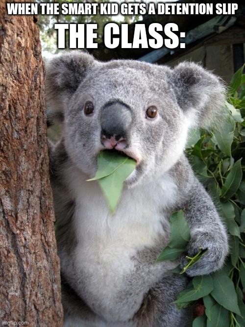 Huh | THE CLASS:; WHEN THE SMART KID GETS A DETENTION SLIP | image tagged in memes,surprised koala | made w/ Imgflip meme maker