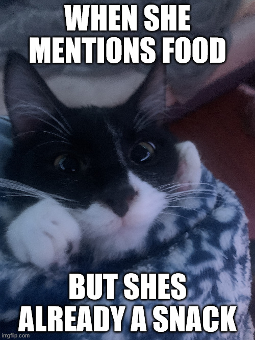 WHEN SHE MENTIONS FOOD; BUT SHES ALREADY A SNACK | made w/ Imgflip meme maker