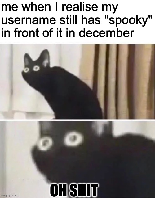 thankfully I noticed before christmas lol | me when I realise my username still has "spooky" in front of it in december; OH SHIT | image tagged in oh no black cat | made w/ Imgflip meme maker
