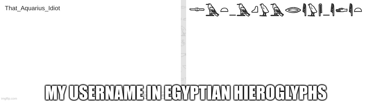 Why am I so many birds?? | MY USERNAME IN EGYPTIAN HIEROGLYPHS | image tagged in egypt,random | made w/ Imgflip meme maker