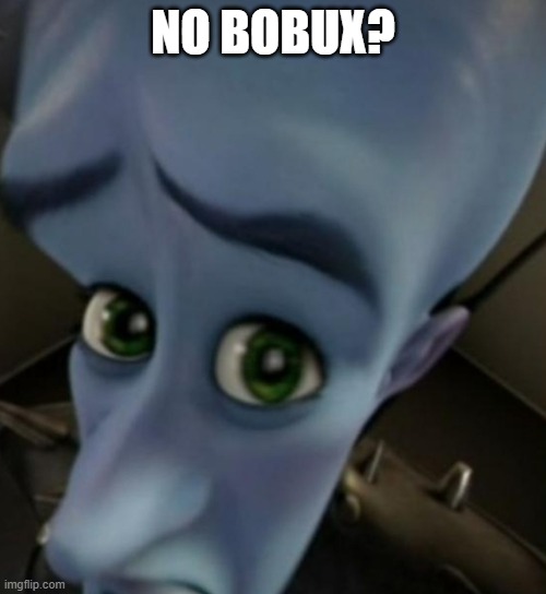 No Bobux? | NO BOBUX? | image tagged in megamind no bitches,left exit 12 off ramp,emotional damage,never gonna give you up,oil | made w/ Imgflip meme maker