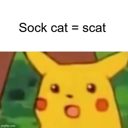 Sock + Cat | Sock cat = scat | image tagged in memes,surprised pikachu | made w/ Imgflip meme maker