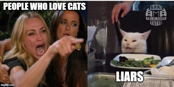 But it's true |  PEOPLE WHO LOVE CATS; LIARS | image tagged in white cat table | made w/ Imgflip meme maker