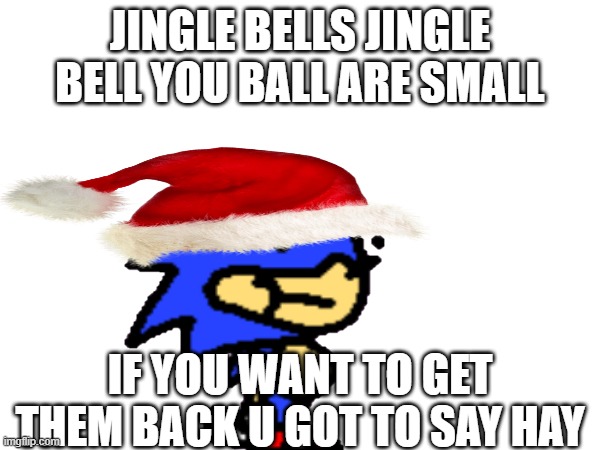 sunky | JINGLE BELLS JINGLE BELL YOU BALL ARE SMALL; IF YOU WANT TO GET THEM BACK U GOT TO SAY HAY | image tagged in gaming,sonic,christmas,happy holidays | made w/ Imgflip meme maker