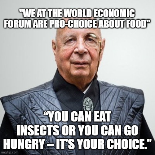 World Economic Forum despots | "WE AT THE WORLD ECONOMIC FORUM ARE PRO-CHOICE ABOUT FOOD"; “YOU CAN EAT INSECTS OR YOU CAN GO HUNGRY – IT’S YOUR CHOICE.” | image tagged in klaus schwab | made w/ Imgflip meme maker