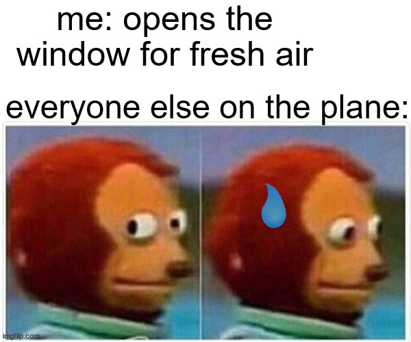 Monkey Puppet Meme | me: opens the window for fresh air; everyone else on the plane: | image tagged in memes,monkey puppet | made w/ Imgflip meme maker