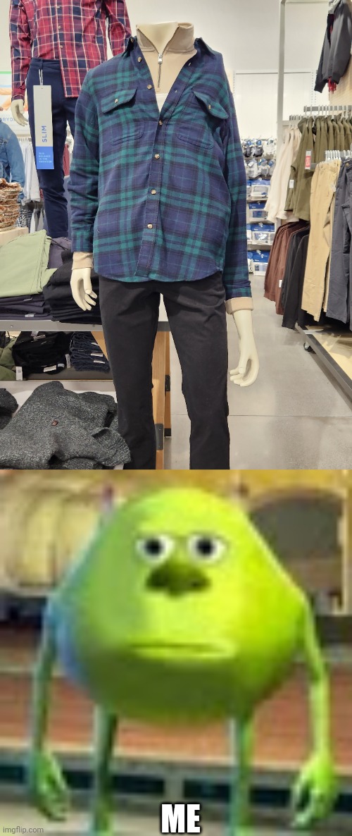 How do people do this? | ME | image tagged in sully wazowski | made w/ Imgflip meme maker