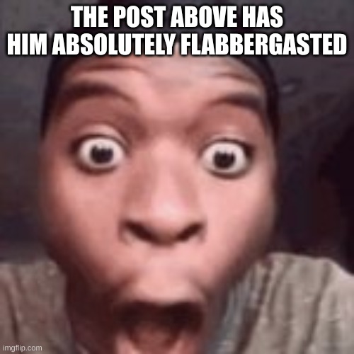 THE POST ABOVE HAS HIM ABSOLUTELY FLABBERGASTED | made w/ Imgflip meme maker