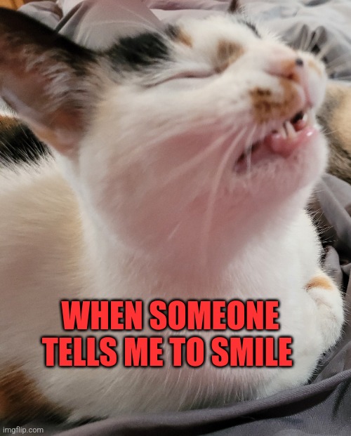 Smile I Command You | WHEN SOMEONE TELLS ME TO SMILE | image tagged in fake smile | made w/ Imgflip meme maker