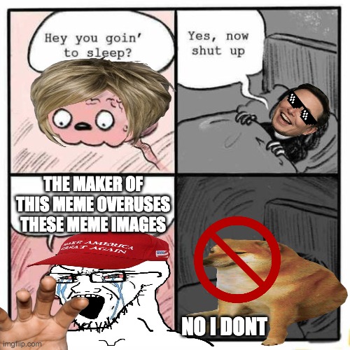 NO I DONT |  THE MAKER OF THIS MEME OVERUSES THESE MEME IMAGES; NO I DONT | image tagged in hey you going to sleep | made w/ Imgflip meme maker