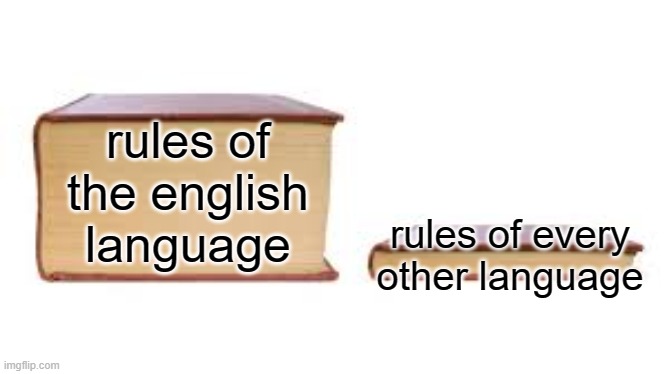 why english gotta so confusing? | rules of the english language; rules of every other language | image tagged in big book small book | made w/ Imgflip meme maker