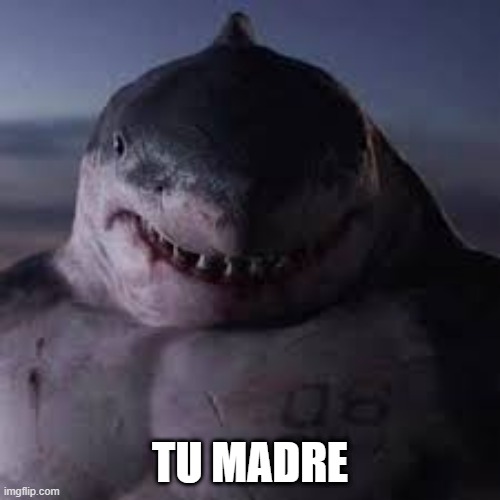 tu madre | TU MADRE | image tagged in tiburon,funni,meme | made w/ Imgflip meme maker