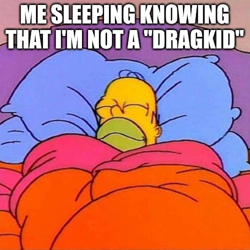 Homer Napping | ME SLEEPING KNOWING THAT I'M NOT A "DRAGKID" | image tagged in homer napping | made w/ Imgflip meme maker