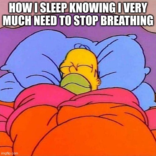 Homer Napping | HOW I SLEEP KNOWING I VERY MUCH NEED TO STOP BREATHING | image tagged in homer napping | made w/ Imgflip meme maker