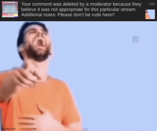 furry stream | image tagged in laughing and pointing | made w/ Imgflip meme maker