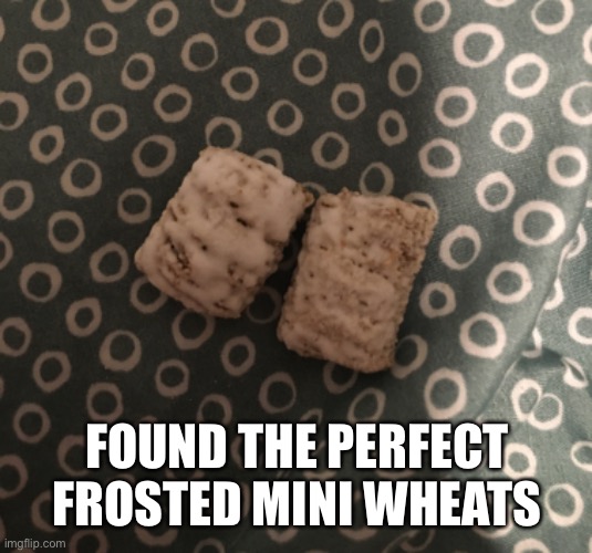 FOUND THE PERFECT FROSTED MINI WHEATS | image tagged in yes | made w/ Imgflip meme maker