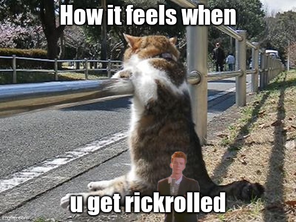 big sad | How it feels when; u get rickrolled | image tagged in rickroll,rick astley,sad cat,cat | made w/ Imgflip meme maker