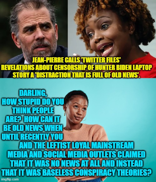 The White House is banking on the average Dem Party voter being EXACTLY that stupid. | JEAN-PIERRE CALLS 'TWITTER FILES' REVELATIONS ABOUT CENSORSHIP OF HUNTER BIDEN LAPTOP STORY A 'DISTRACTION THAT IS FULL OF OLD NEWS'. DARLING, HOW STUPID DO YOU THINK PEOPLE ARE?  HOW CAN IT BE OLD NEWS WHEN UNTIL RECENTLY YOU; AND THE LEFTIST LOYAL MAINSTREAM MEDIA AND SOCIAL MEDIA OUTLETS CLAIMED THAT IT WAS NO NEWS AT ALL AND INSTEAD THAT IT WAS BASELESS CONSPIRACY THEORIES? | image tagged in stupid dem party voters | made w/ Imgflip meme maker
