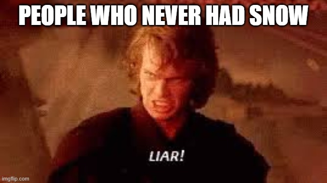 Anakin Liar | PEOPLE WHO NEVER HAD SNOW | image tagged in anakin liar | made w/ Imgflip meme maker
