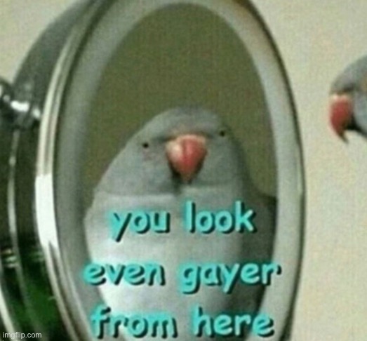 You look even gayer from here | image tagged in you look even gayer from here | made w/ Imgflip meme maker