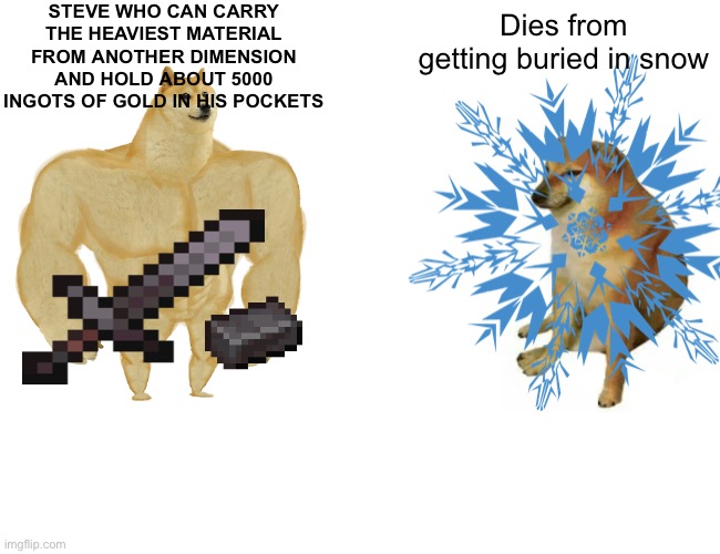 I farted | STEVE WHO CAN CARRY THE HEAVIEST MATERIAL FROM ANOTHER DIMENSION AND HOLD ABOUT 5000 INGOTS OF GOLD IN HIS POCKETS; Dies from getting buried in snow | image tagged in minecraft | made w/ Imgflip meme maker