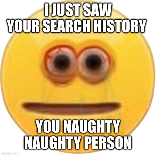 I see your search history | I JUST SAW YOUR SEARCH HISTORY; YOU NAUGHTY NAUGHTY PERSON | image tagged in funny | made w/ Imgflip meme maker