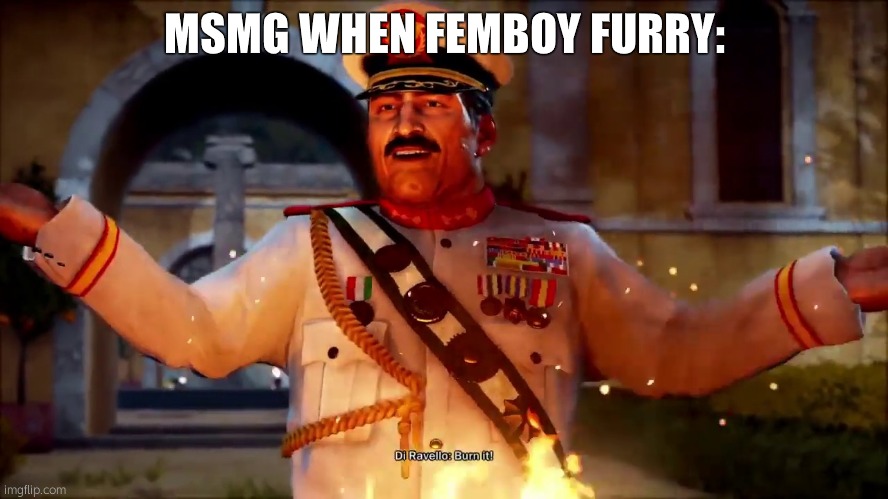 burn it | MSMG WHEN FEMBOY FURRY: | image tagged in burn it | made w/ Imgflip meme maker