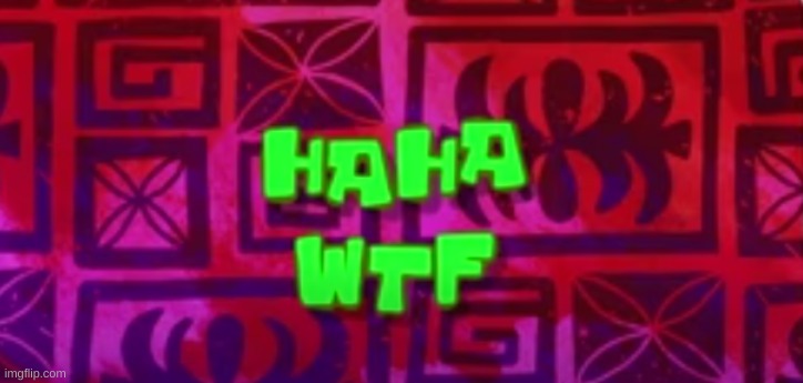 Haha WTF | image tagged in haha wtf | made w/ Imgflip meme maker