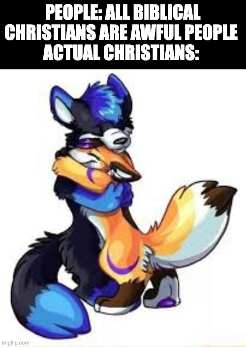 LOVE THY NEIGHBOUR! | PEOPLE: ALL BIBLICAL CHRISTIANS ARE AWFUL PEOPLE 
ACTUAL CHRISTIANS: | image tagged in furry hugs,christian furries | made w/ Imgflip meme maker