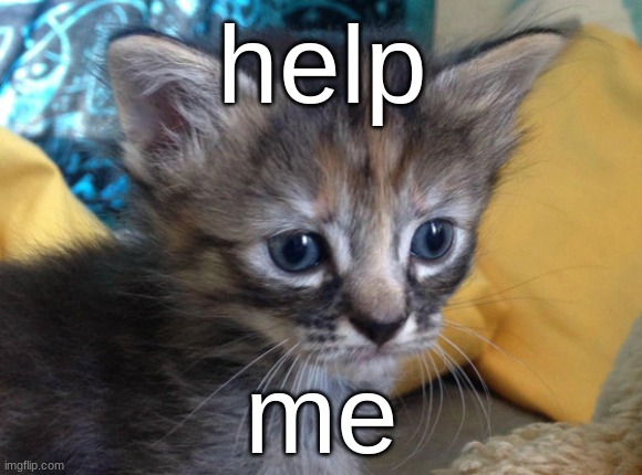 help me | help; me | image tagged in help | made w/ Imgflip meme maker
