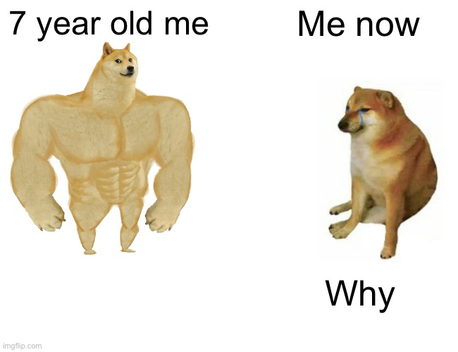 Buff Doge vs. Cheems Meme | 7 year old me; Me now; Why | image tagged in memes,buff doge vs cheems | made w/ Imgflip meme maker