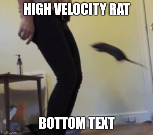 HIGH VELOCITY RAT; BOTTOM TEXT | made w/ Imgflip meme maker