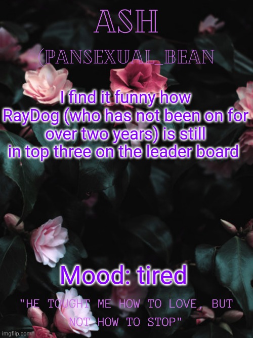 ? | I find it funny how RayDog (who has not been on for over two years) is still in top three on the leader board; Mood: tired | image tagged in ash's announcement template | made w/ Imgflip meme maker