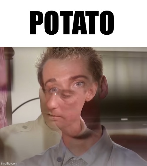 Potato | POTATO | image tagged in blank white template | made w/ Imgflip meme maker