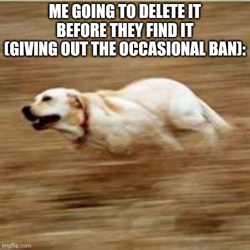 Speedy doggo | ME GOING TO DELETE IT BEFORE THEY FIND IT (GIVING OUT THE OCCASIONAL BAN): | image tagged in speedy doggo | made w/ Imgflip meme maker