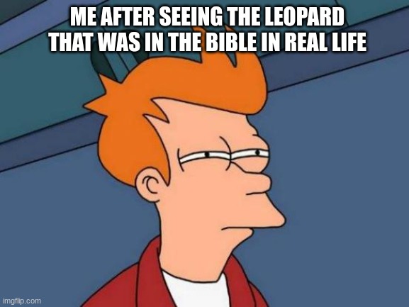 Futurama Fry Meme | ME AFTER SEEING THE LEOPARD THAT WAS IN THE BIBLE IN REAL LIFE | image tagged in memes,futurama fry | made w/ Imgflip meme maker