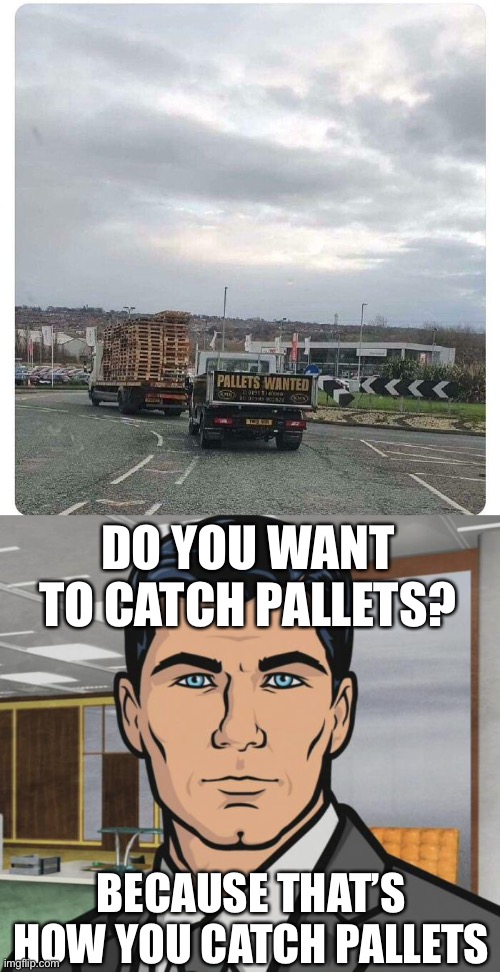 Wanted: the chase | DO YOU WANT TO CATCH PALLETS? BECAUSE THAT’S HOW YOU CATCH PALLETS | image tagged in memes,archer,chase,wanted,catch | made w/ Imgflip meme maker