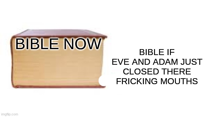 Big book small book | BIBLE IF EVE AND ADAM JUST CLOSED THERE FRICKING MOUTHS; BIBLE NOW | image tagged in big book small book | made w/ Imgflip meme maker