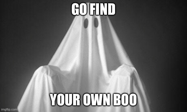 Boo | GO FIND; YOUR OWN BOO | image tagged in ghost | made w/ Imgflip meme maker