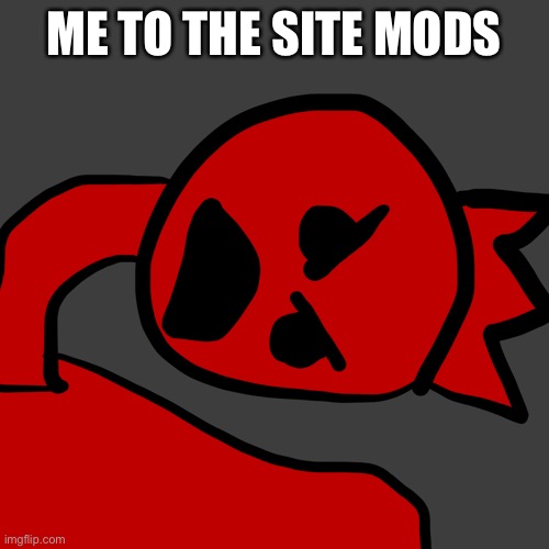 The Angry Reich is now pissed, site mods beware, a monster | ME TO THE SITE MODS | image tagged in the angry reich | made w/ Imgflip meme maker