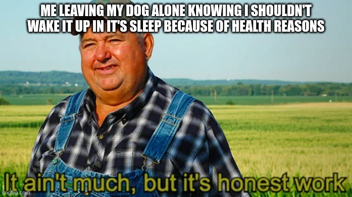 Check everything before you do it people | ME LEAVING MY DOG ALONE KNOWING I SHOULDN'T WAKE IT UP IN IT'S SLEEP BECAUSE OF HEALTH REASONS | image tagged in it ain't much but it's honest work | made w/ Imgflip meme maker