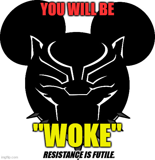 YOU WILL BE "WOKE" RESISTANCE IS FUTILE. | made w/ Imgflip meme maker